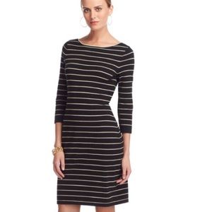 Chaps black and gold striped sweater dress!!